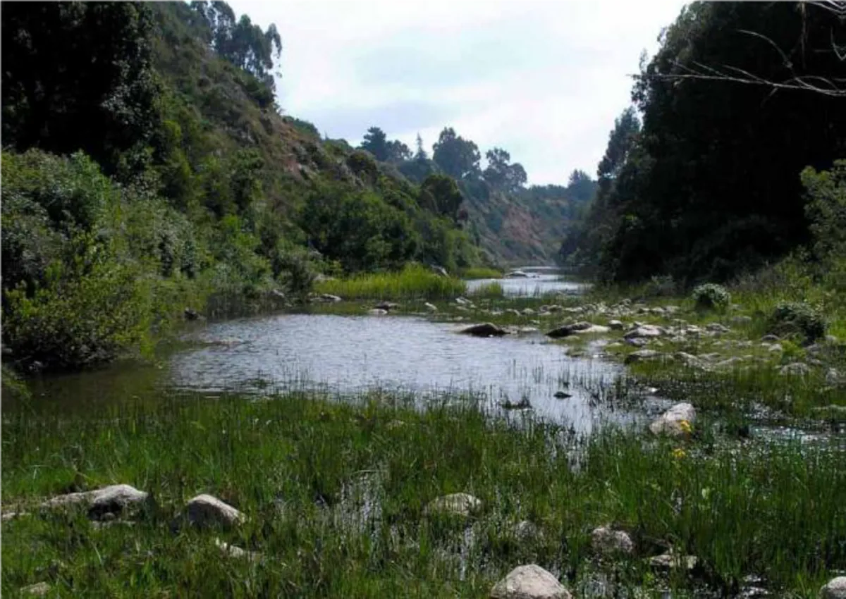 Quebrada de Córdova