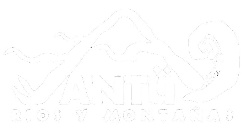 Ascensión Volcán Lanín
