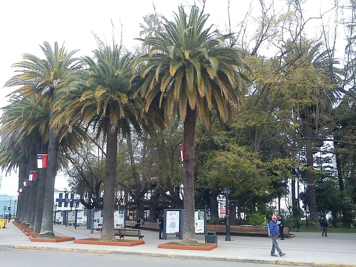Plaza de Armas de Curicó