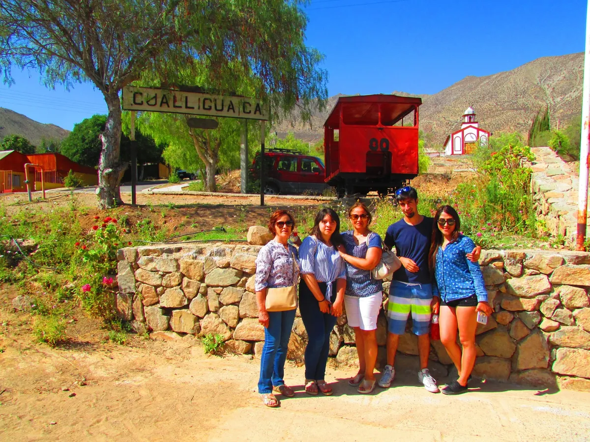 Tour alrededores de Vicuña (en auto)