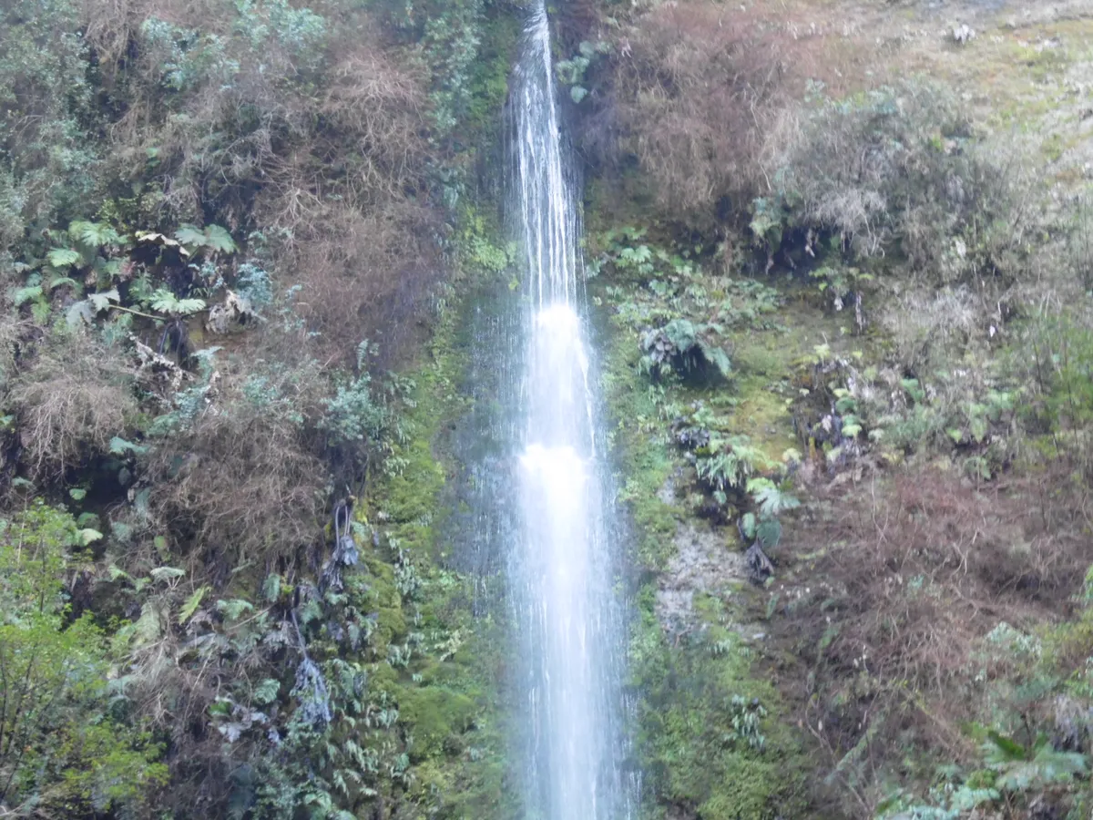 Tour Coloane: Cascadas de Tocoihue
