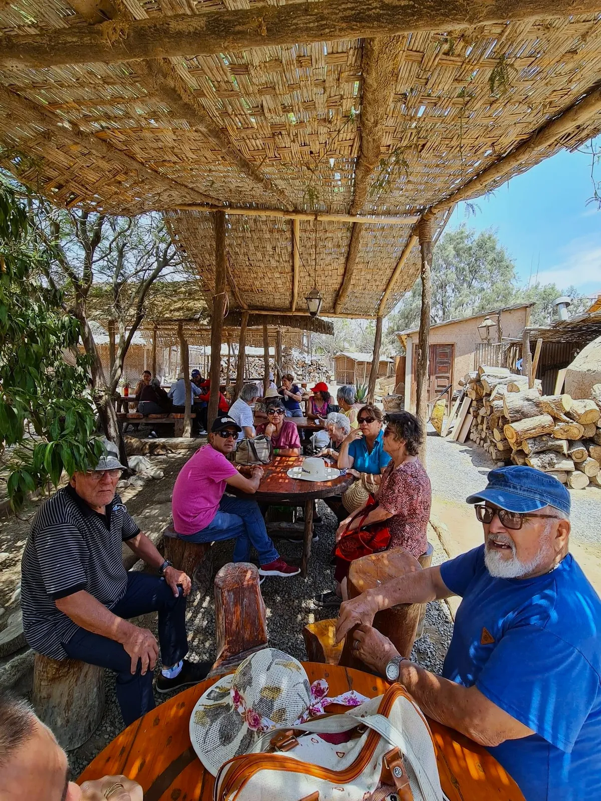 Tour Arqueológico por los Valles de Azapa y Lluta - 1