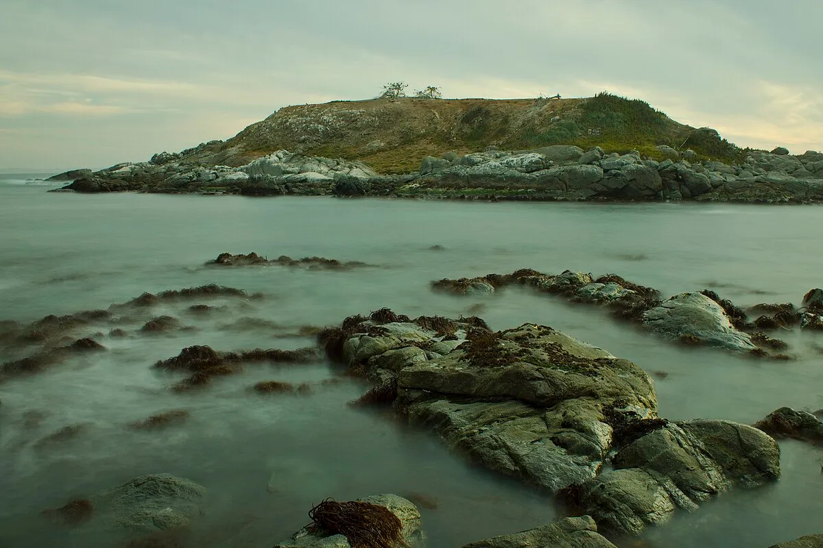 Isla Cachagua