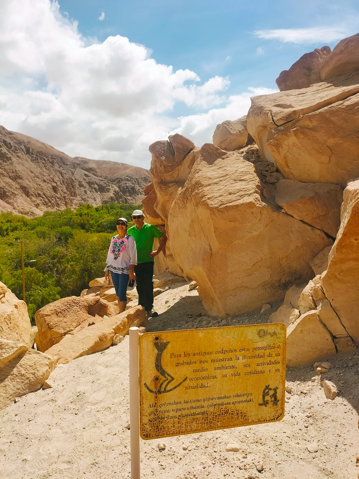 Full Day Valle de Codpa