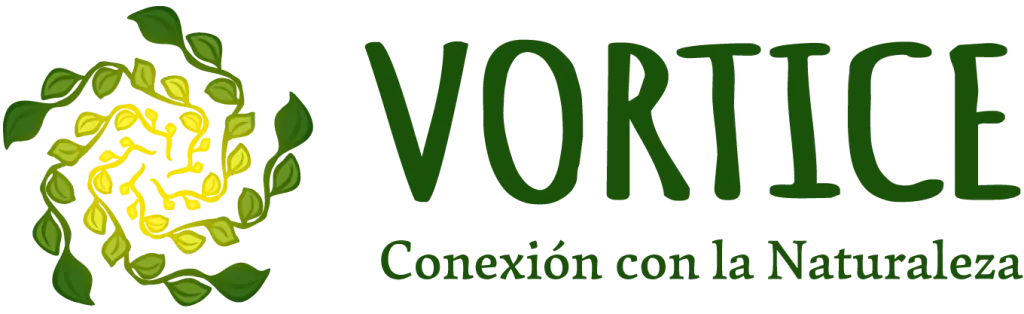 Vórtice Chile