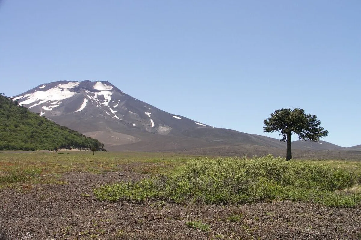 Reserva nacional Malalcahuello