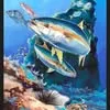 Pesca deportiva en isla Robinson Crusoe e isla Santa Clara