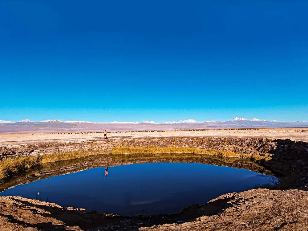 Laguna Cejar + Ojos Salar + Tebenquinche