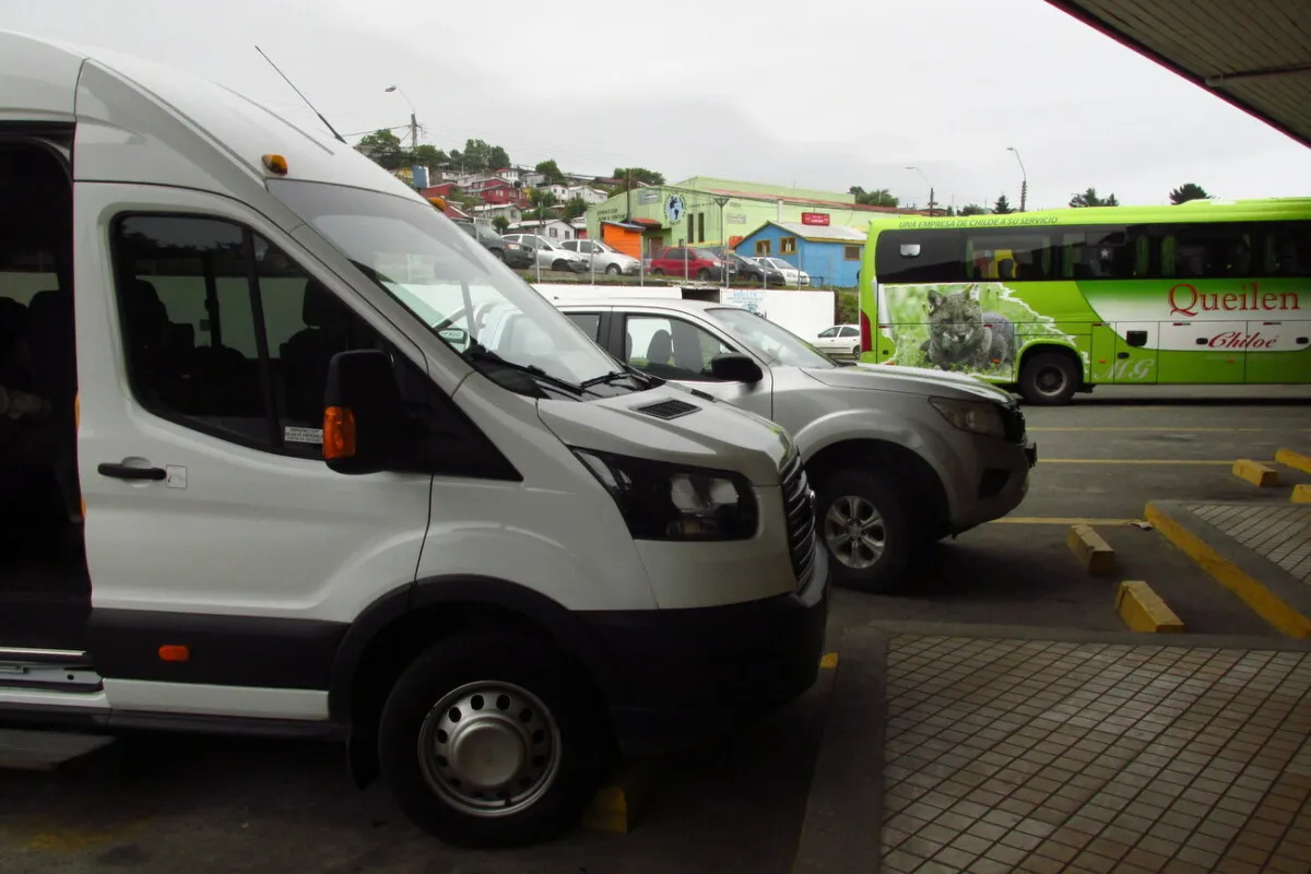 Tour Pingüineras de Puñihuil y Ancud