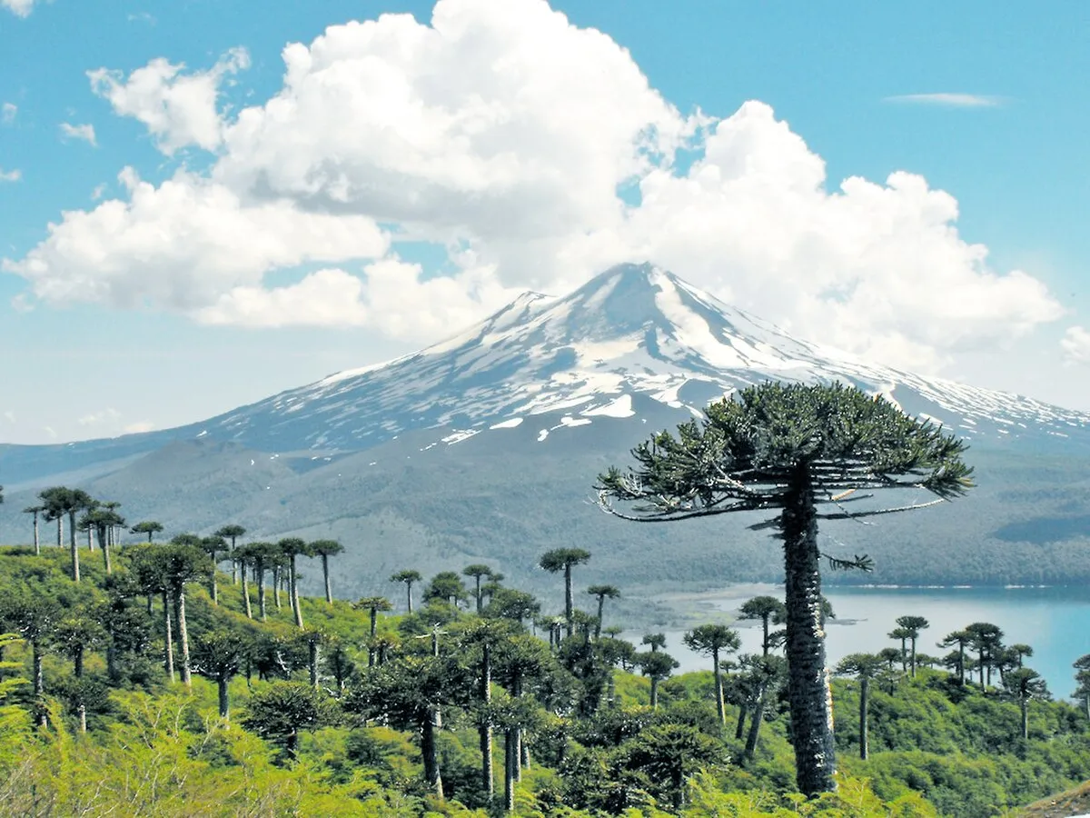 Volcán Llaima