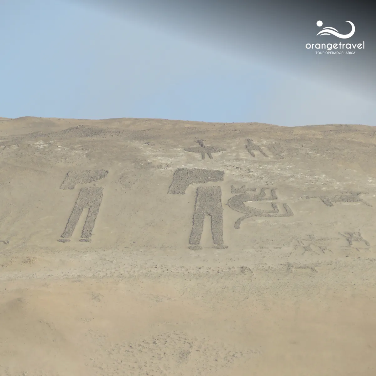 Entre Valles: Azapa y Lluta