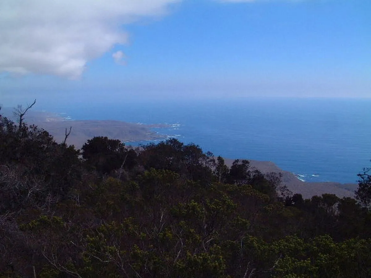 Parque nacional Bosque Fray Jorge
