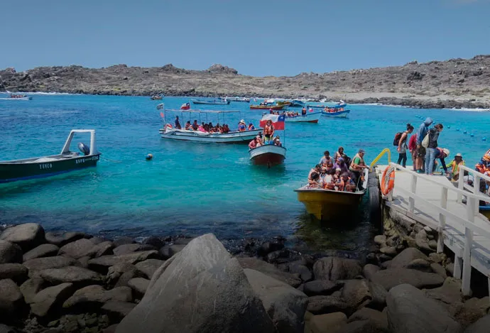 Reserva Nacional Pingüino de Humboldt - Isla Damas