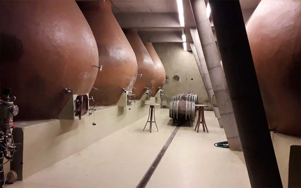 Wine Innovation Tour: Bodegas RE and Casas del Bosque Vineyards