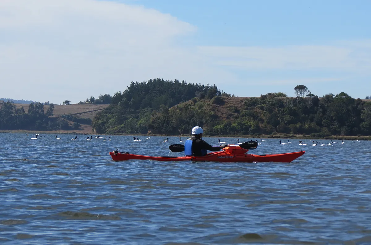 Multisport y Aventura