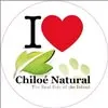 Birding Chiloe