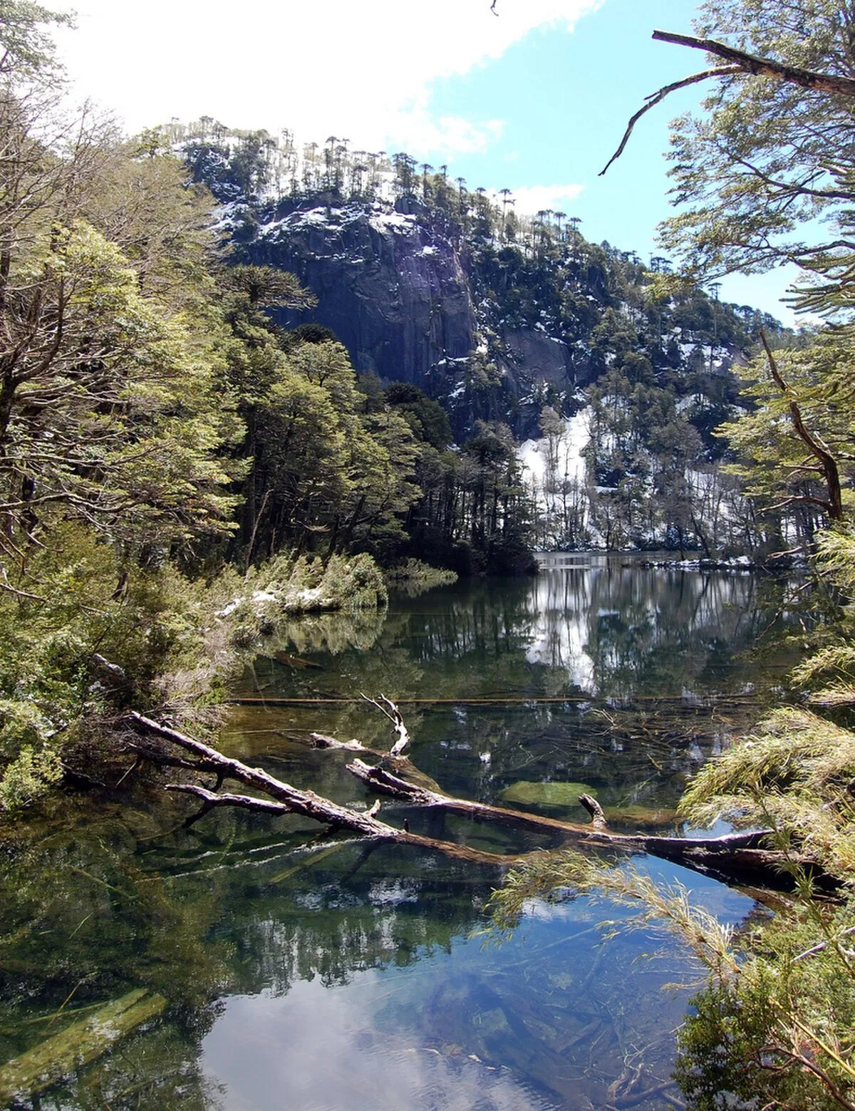 Lago Chico (Toltén)