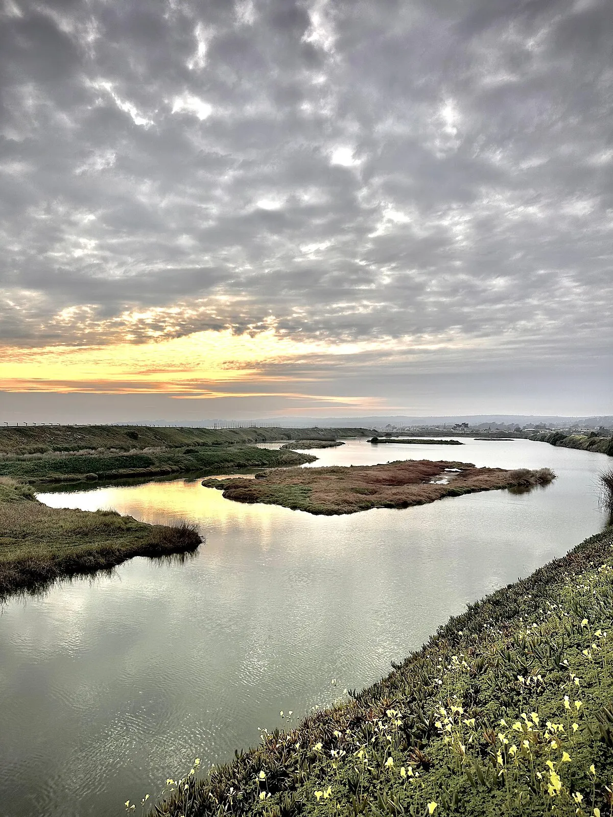 Humedal de Cartagena