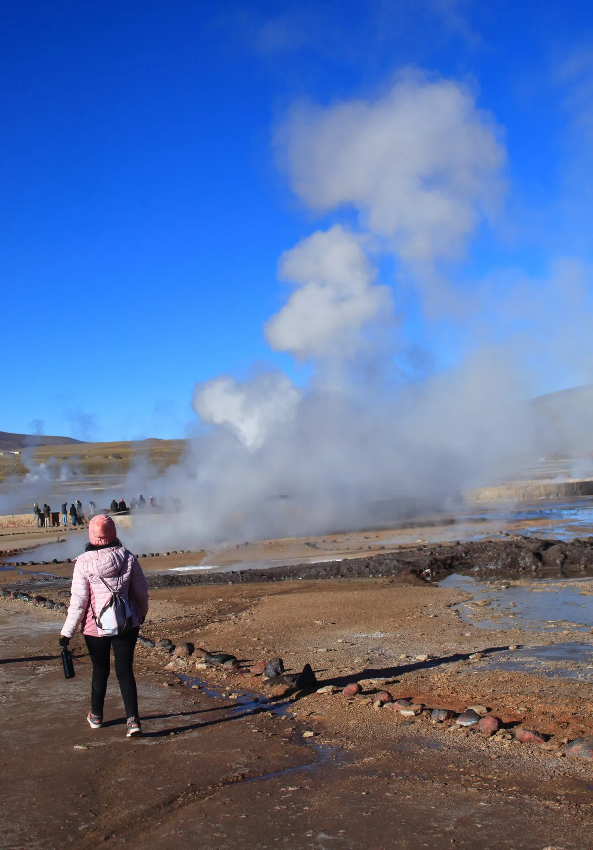 Tour Geisers del Tatio