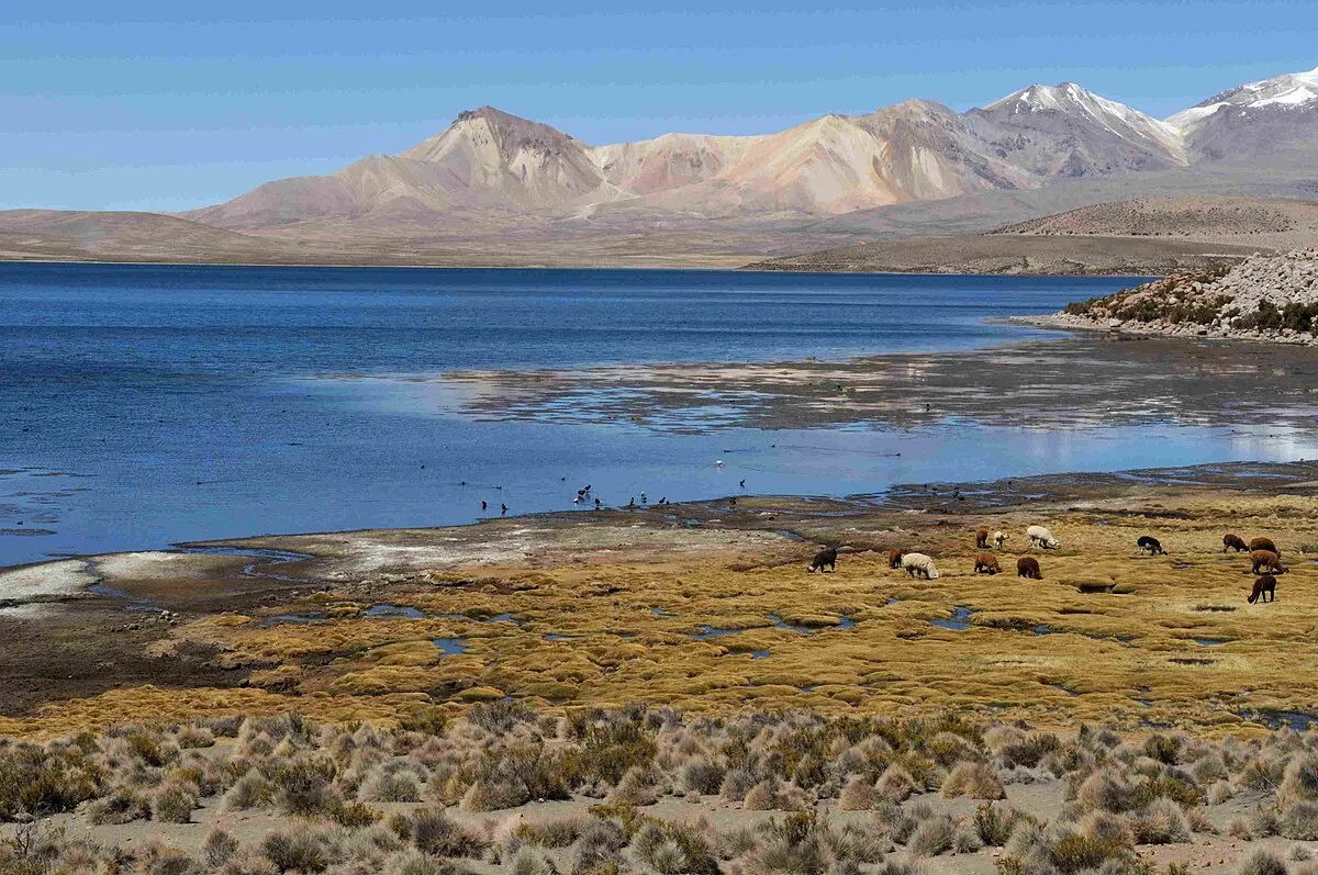 Cerro Oke Okeni