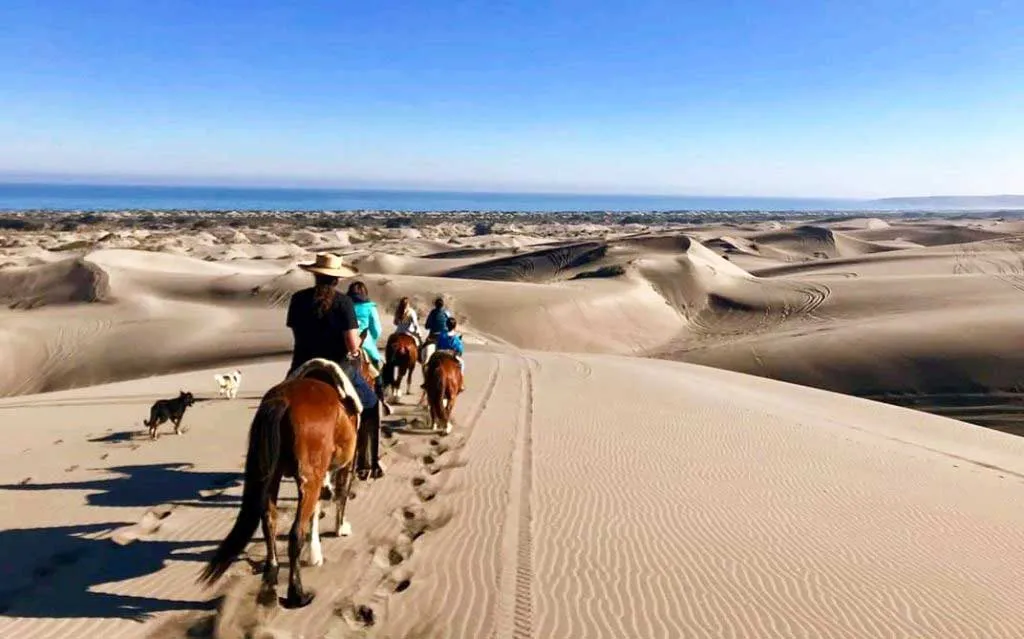 Pacific Horseback Ride on Beach and Sand Dunes