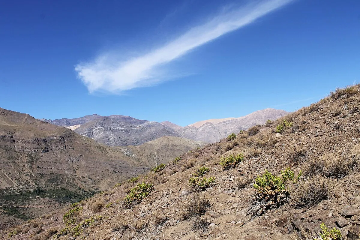 Reserva nacional Río Blanco