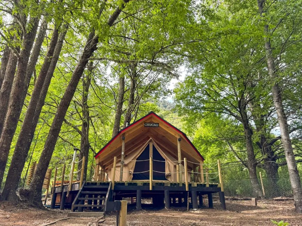Glamping Casa del Árbol - 6