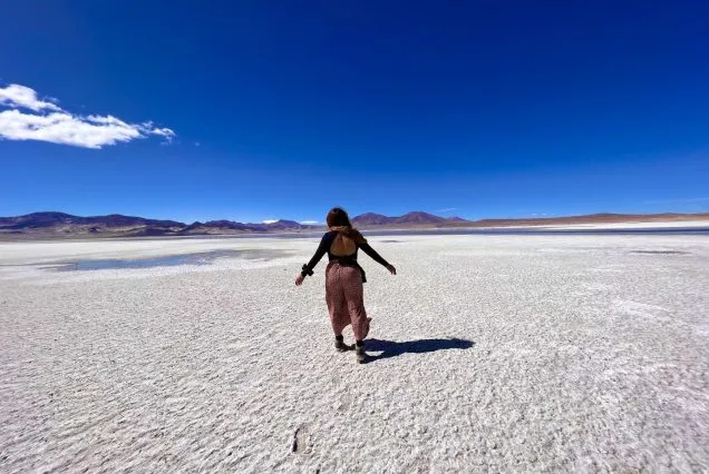 Tour Salar del Huasco