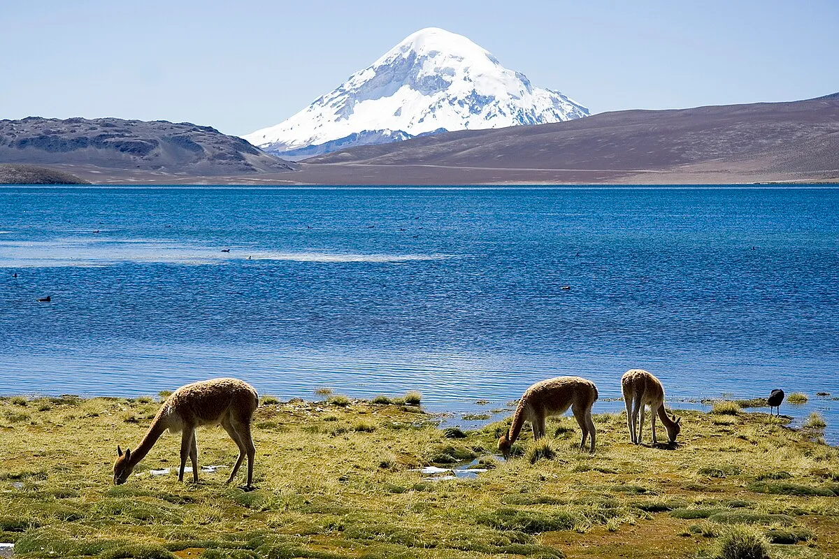 Parque nacional Lauca