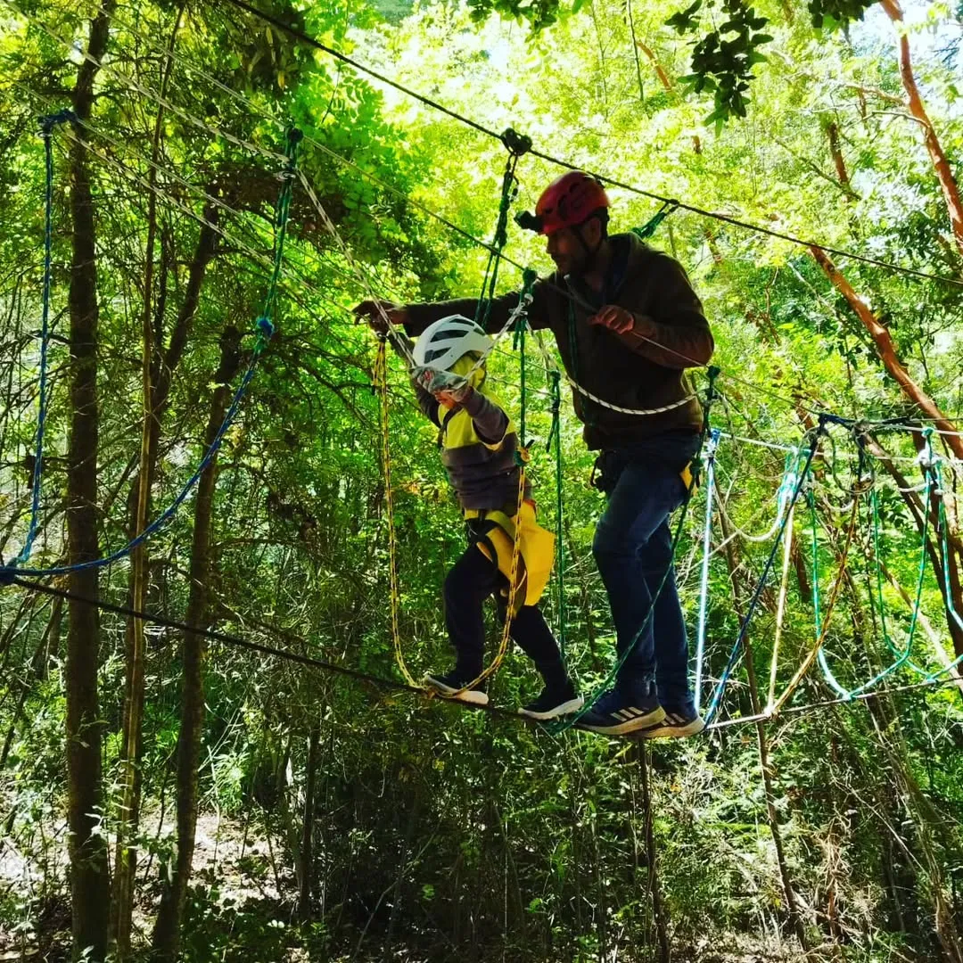 Canopy y arborismo en Pucón – Circuito en bosque nativo - 2
