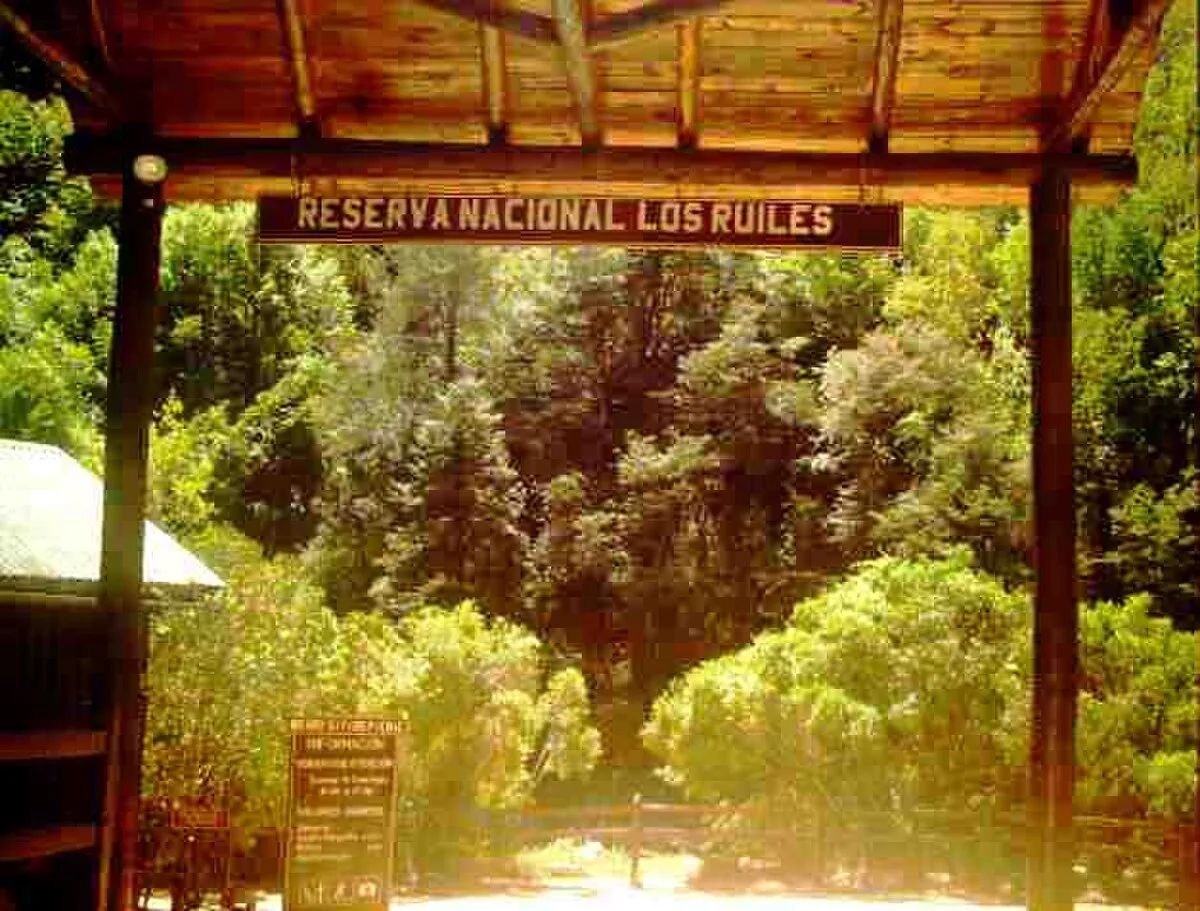 Reserva nacional Los Ruiles