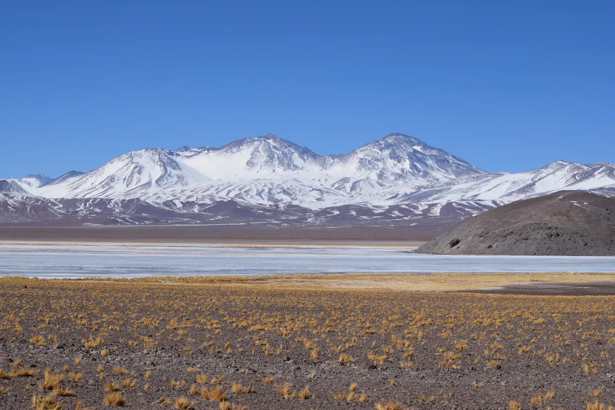 Lagunas y Seis Miles de Atacama