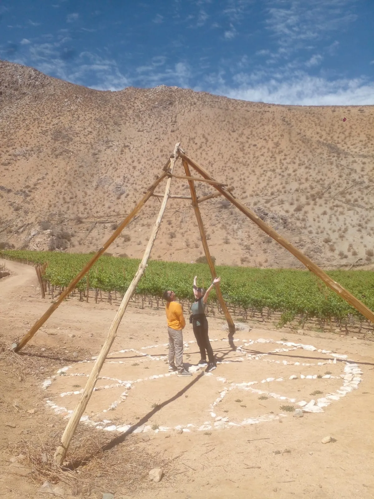 Del Pisco al Vino